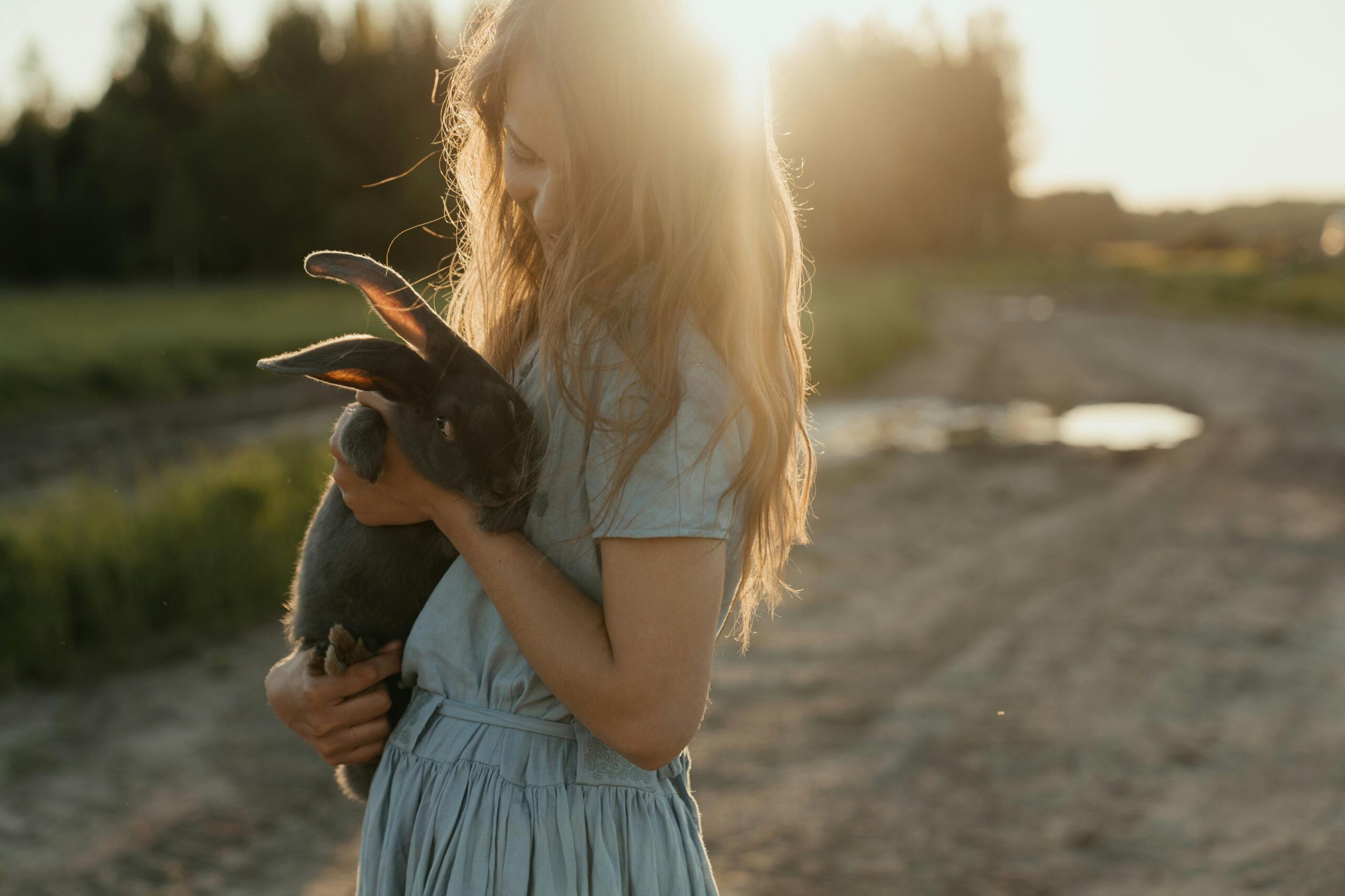 Read more about the article Het belang van dierenklinieken voor de gezondheid van je huisdier