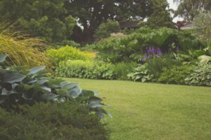 Read more about the article Groene structuren die de tuin tot leven brengen