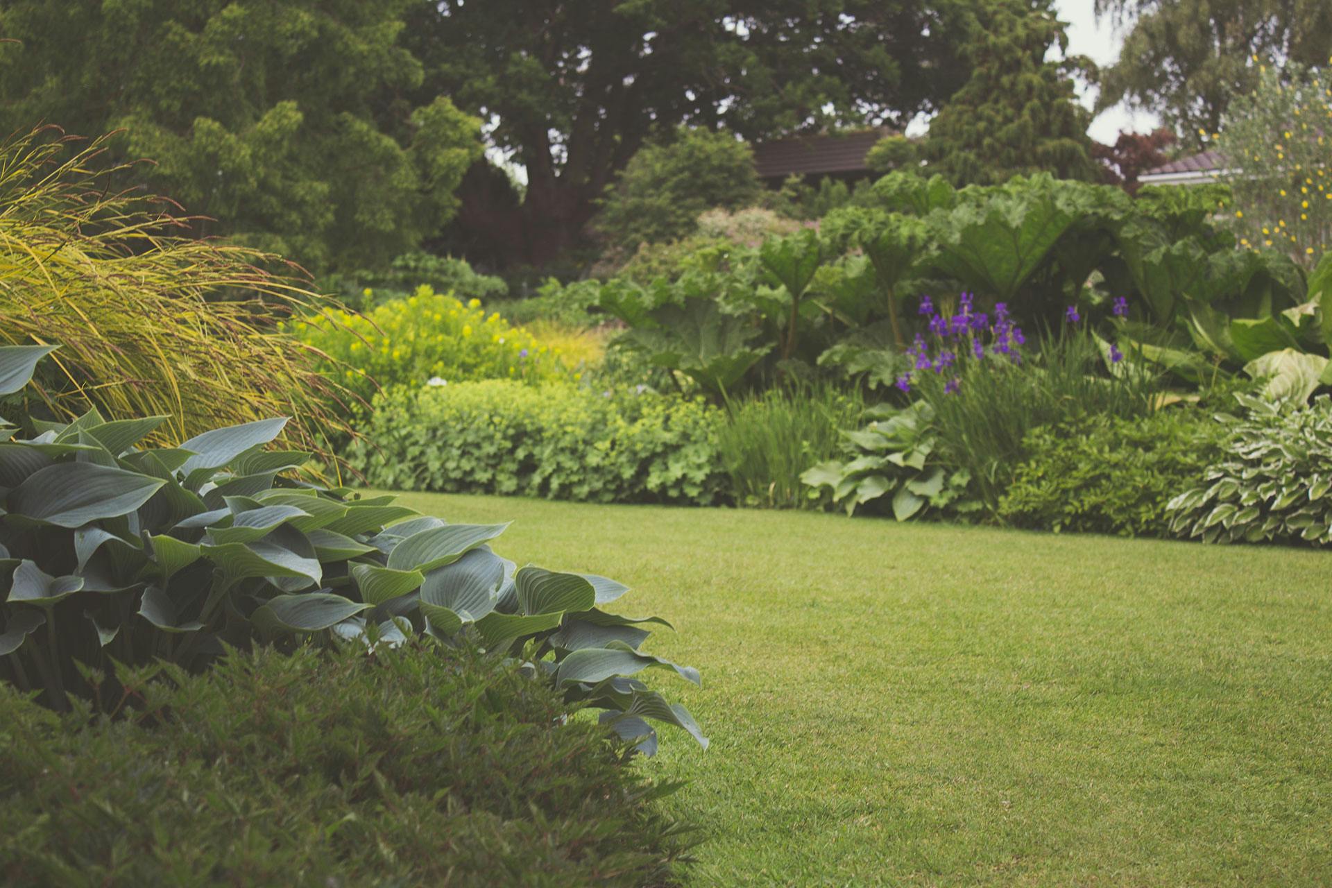 Read more about the article Groene structuren die de tuin tot leven brengen