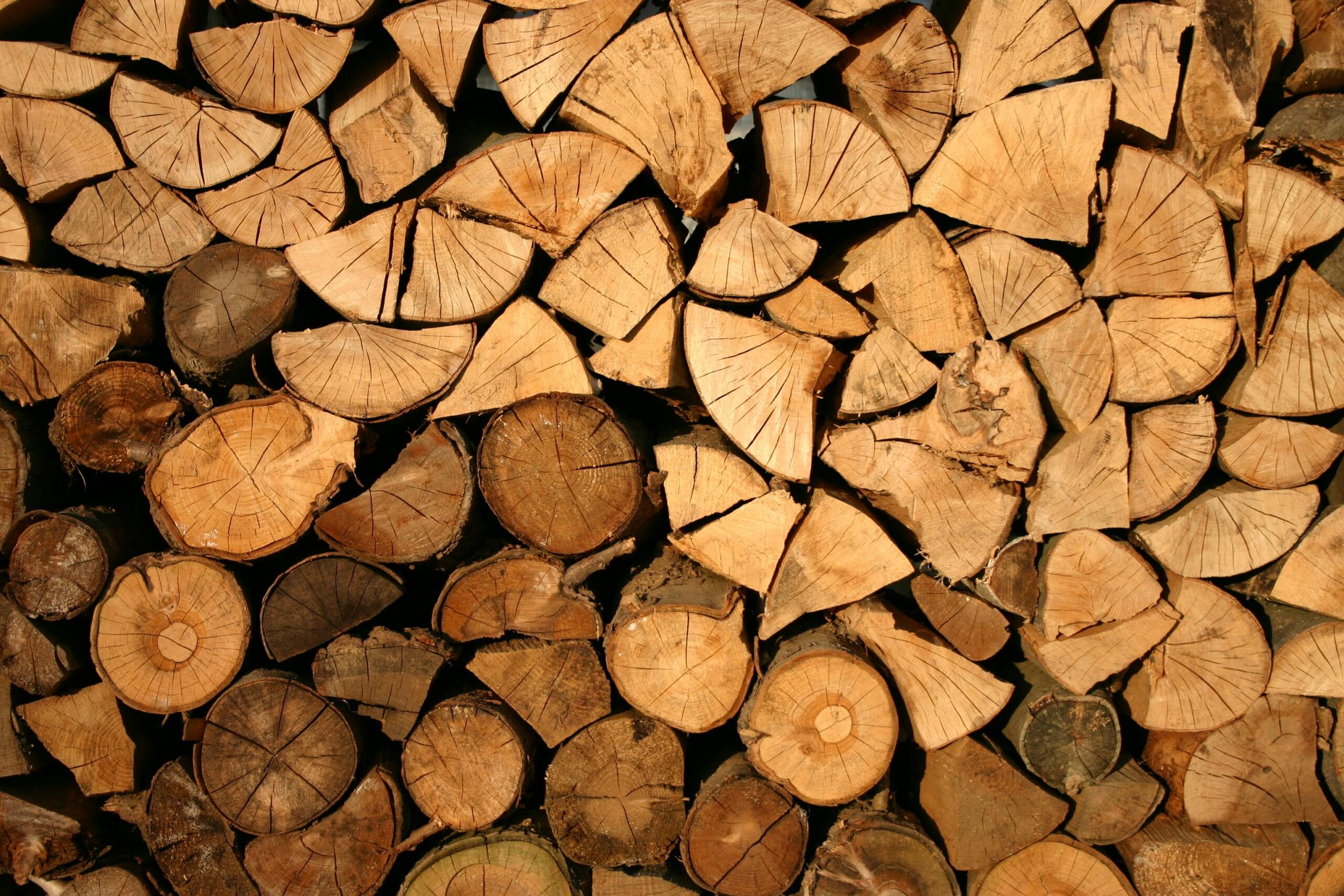 Read more about the article Waarom kiezen voor houtspecialist een goed idee is