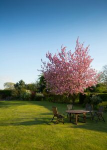 Read more about the article Jouw droomtuin begint met een sterk tuinontwerp