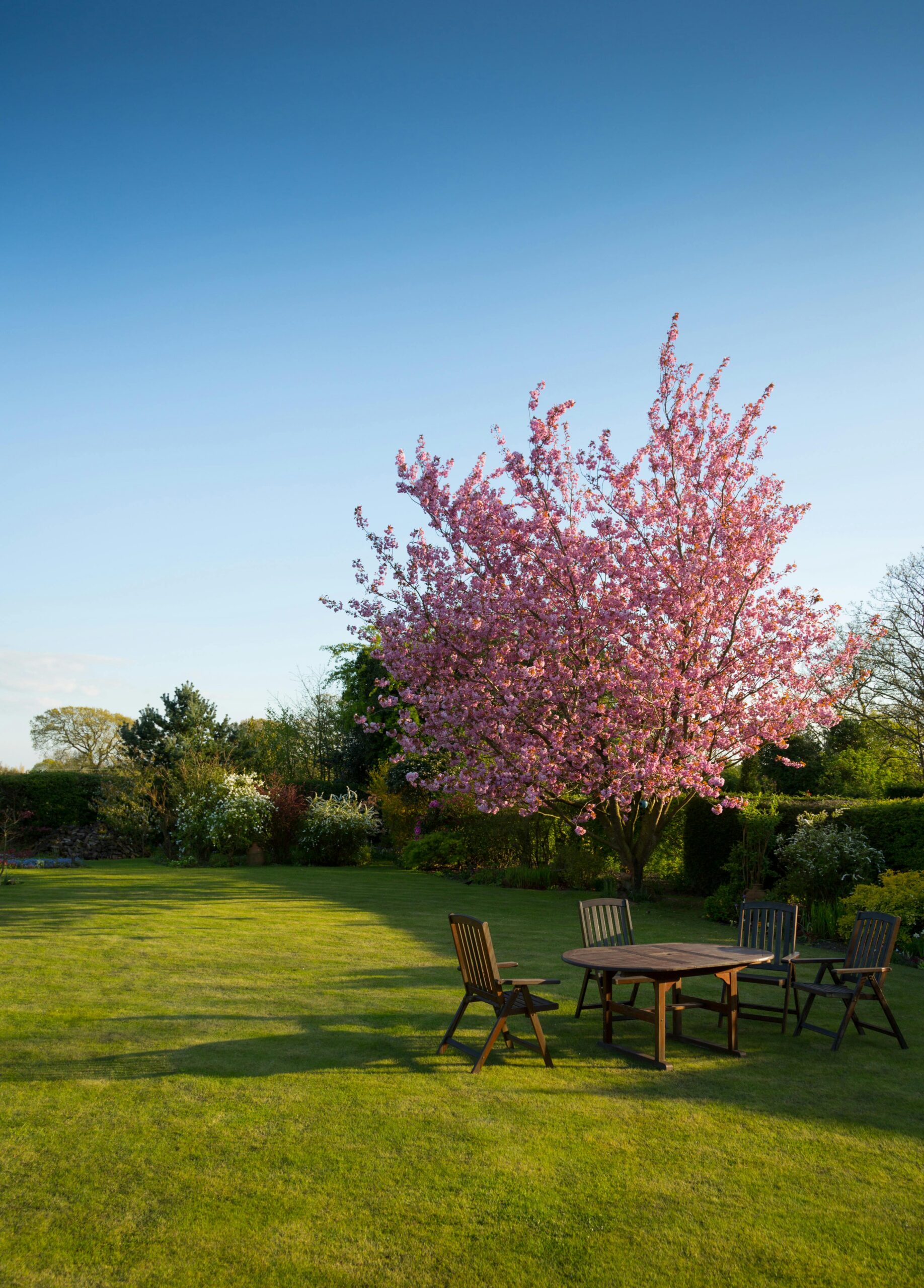 Read more about the article Jouw droomtuin begint met een sterk tuinontwerp